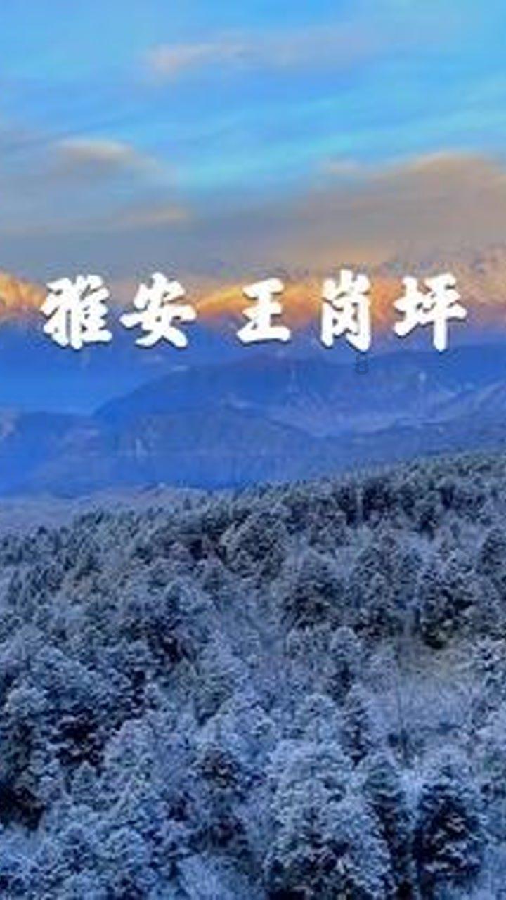 可爱奥莉甜美夏装