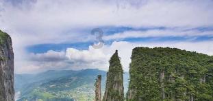 临沂海关“区港联动”助力企业减负增效