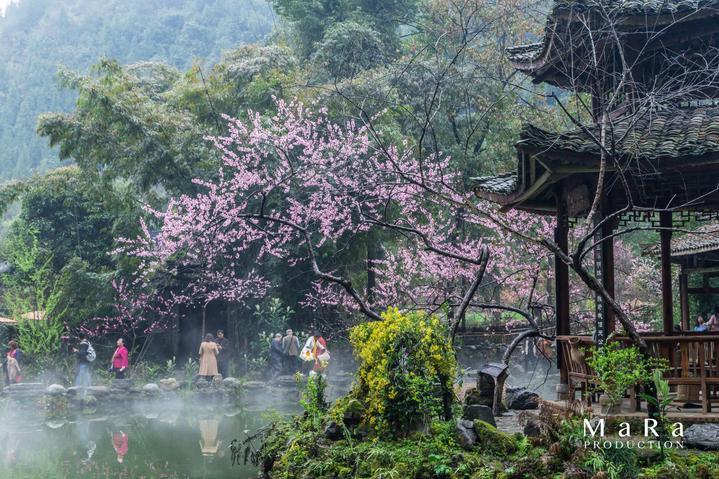 年轻人如何应对就业难游戏画面