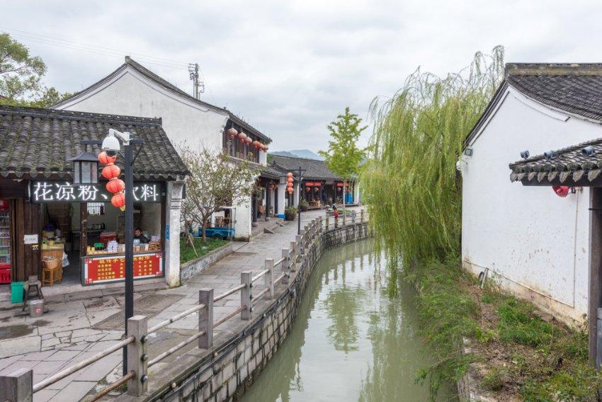 救援小白狼