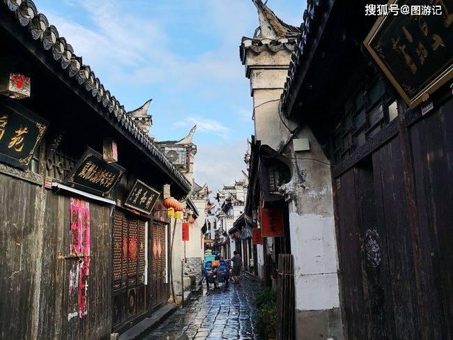 小长颈鹿逃离